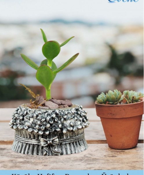 Mini Çiçek Saksı Küçük Sukulent Gümüş Eskitme Kaktüs Saksısı 3lü Set Çiçekli Fiyonklu Model